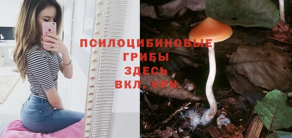 стаф Приозерск