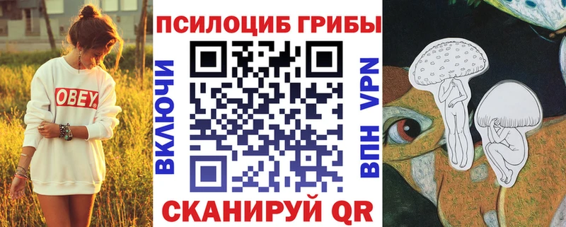 наркошоп  Рыбинск  Галлюциногенные грибы мухоморы 