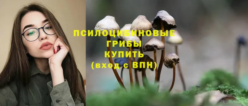 это какой сайт  Рыбинск  Галлюциногенные грибы Magic Shrooms 