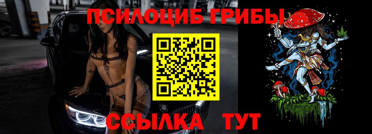 Псилоцибиновые грибы прущие грибы  Рыбинск 